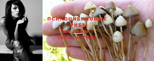 ПСИЛОЦИБИНОВЫЕ ГРИБЫ Заволжье