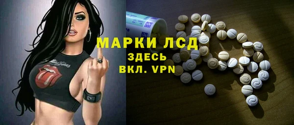 ПСИЛОЦИБИНОВЫЕ ГРИБЫ Заволжье