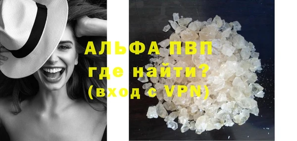ПСИЛОЦИБИНОВЫЕ ГРИБЫ Заволжье
