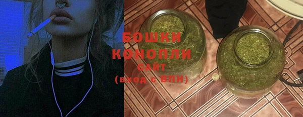 ПСИЛОЦИБИНОВЫЕ ГРИБЫ Заволжье