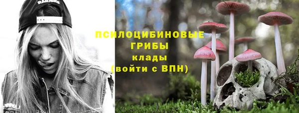 ПСИЛОЦИБИНОВЫЕ ГРИБЫ Заволжье