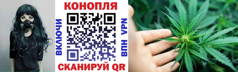 Купить  Егорьевск  Канабис White Widow 